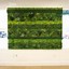 Image result for Preserved Moss Wall Art