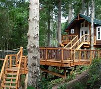 Image result for Wood Forest Tree Houses