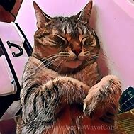 Image result for Cat PR121 Service Manual