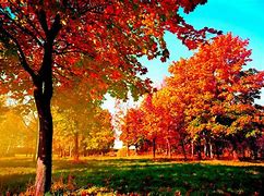 Image result for Fall Field Background Free