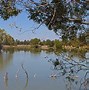 Image result for Small Lake Cabin