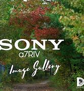 Image result for Sony Digital Camera 7Riv