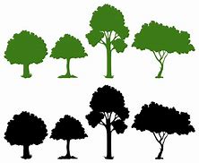 Image result for Top Tree Silhouette Vectors
