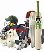 Image result for Cricket Goods
