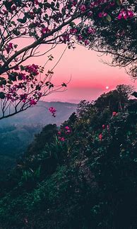 Image result for Aesthetic Nature iPhone Wallpaper