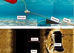 Image result for Sonar Harms Body