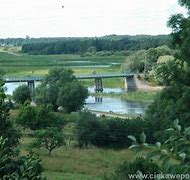 Image result for gangowo