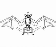 Image result for Bat Wings 2D CAD