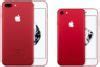 Image result for Apple Special Edition iPhone Dimensions Inches