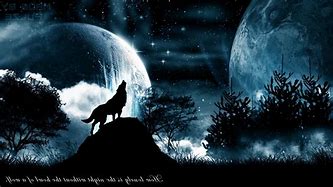 Image result for Mystical Wolf Wallpaper