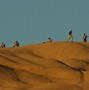 Image result for Spitzkoppe Namibia Map