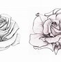 Image result for Rose Drawing