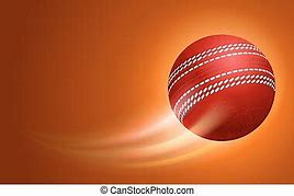 Image result for Cricket Animated Icon