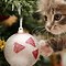 Image result for Christmas Kitty Cat