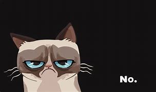 Image result for Grumpy Cat Computer
