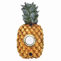 Image result for Pineapple Doorbell Button