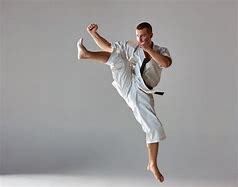 Image result for Karate Person