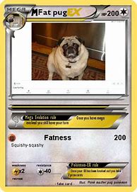 Image result for Fat Pug Pokemon Card