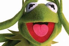 Image result for Crazy Kermit the Frog