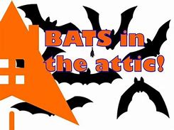 Image result for Bats in Flying Out Attic