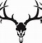 Image result for Replica Deer Skull