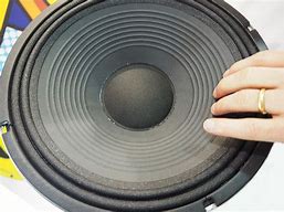 Image result for Speaker Cone Flat