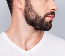 Image result for How to Trim Long Beard