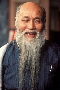 Image result for Chinese Old Man Beard Style