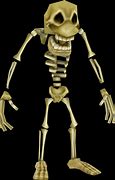 Image result for Crash Bandicoot Skeleton