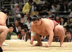 Image result for Sumo Wrestling Stance