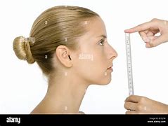 Image result for Face Ruler Measurement