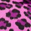 Image result for Girly Animal Print Backgrounds