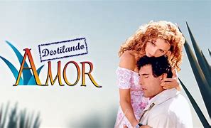 Image result for Destilando Amor Cast