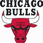 Image result for Best Chicago Bulls Logo