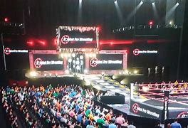 Image result for Wrestling Arena