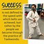 Image result for Taekwondo Belt Color Meanings