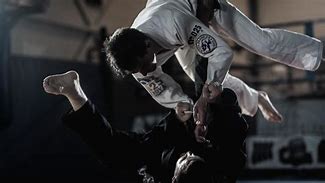 Image result for Brazilian Jiu Jitsu Free Background Pictures