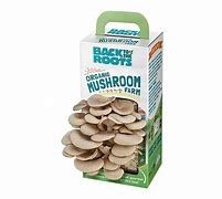 Image result for Packaging for Mushrooms