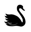 Image result for Black Swan Eyes