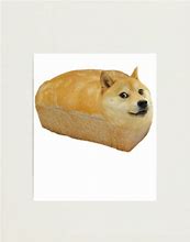Image result for Shiba Inu Bread Meme
