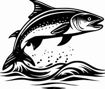 Image result for Mean Salmon Vector