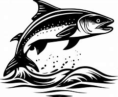 Image result for Jumping Salmon Vector