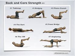 Image result for Strength Building Exercises