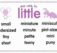 Image result for Little Synonym