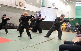 Image result for Ninjutsu Martial Arts