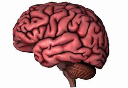 Image result for Brain Clip Art Black Background