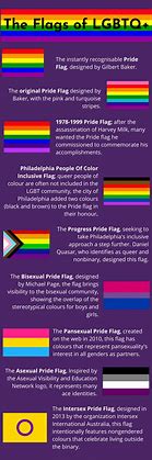 Image result for LGBT American Flag