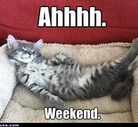 Image result for Three-Day Weekend Pet Memes