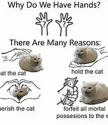 Image result for Bold Cat Meme
