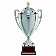 Image result for Metal Trophies